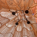 PACO M - Suspension en rotin