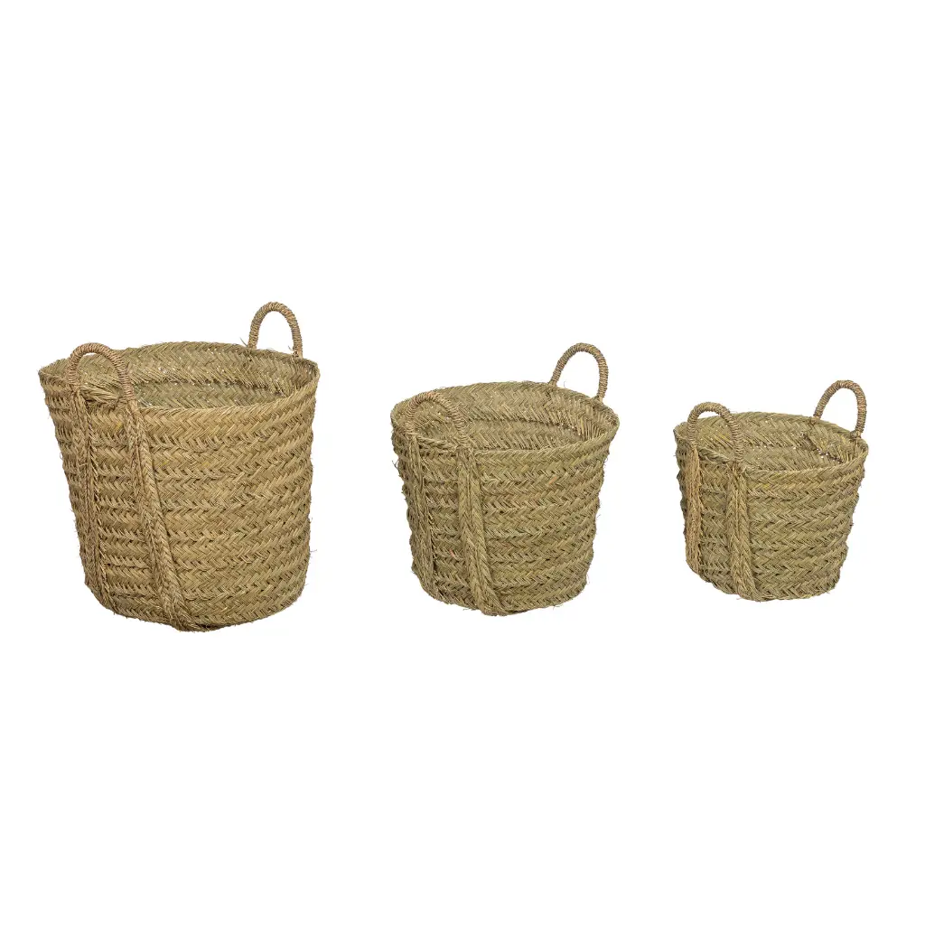 AVY - Lot de 3 paniers en jonc de gaddim